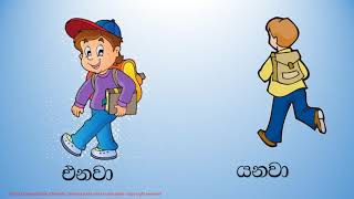 Grade 2 Sinhala Writing සමාන පද විරුද්ධ පද [upl. by Epperson800]