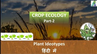 Crop Ideotypes  Plant Ideotypes  Crop ecology Part 2  Model plants  Ideotype breeding [upl. by Eisaj]