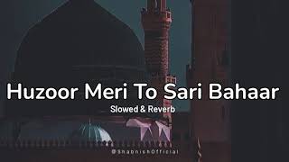 Huzoor Meri To Sari Bahaar Aap se Hai✨🫶 Slowed amp Reverb  Heart touching naat  Shabnishofficial [upl. by Atnes6]