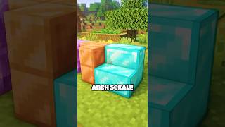 Block Paling ILLEGAL Di Minecraft [upl. by Aikahc780]