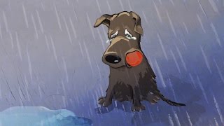 Funny sad story  Bob amp Bobby A rescue story [upl. by Anasor176]