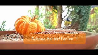 Schöne Herbstferien [upl. by Ennoirb]