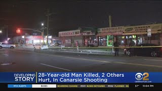 28YearOld Man Killed 2 Others Hurt In Canarsie Shooting [upl. by Annaicul]