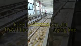 hot melt adhesive bag packaging machine [upl. by Katheryn264]