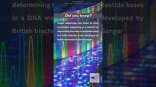 Sanger Sequencing simplified [upl. by Adirf]