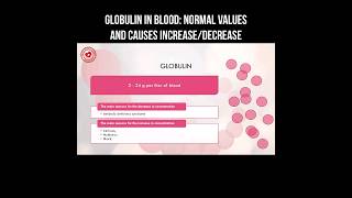 Globulin in blood normal values and causes of increasedecrease globulin bloodtest bloodanalysis [upl. by Iret603]