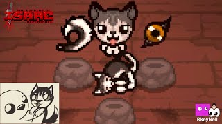 A Husky Dog in Isaac [upl. by Cavanagh770]