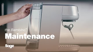 The Bambino™  How to clean your machine with ease  Sage Appliances UK [upl. by Evetta]