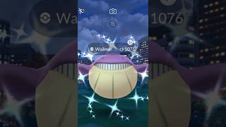 Shiny Wailmer Pokemon GO [upl. by Joye708]