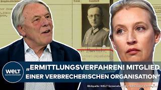 ALICE WEIDEL Jahrelange Opferinszenierung der Familie Jetzt kommt ans Licht  Opa war Nazi [upl. by Ettari]