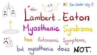 Myasthenia Gravis vs Lambert Eaton Myasthenic Syndrome LEMS  Muscle Weakness Autonomic Symptoms [upl. by Abernon924]