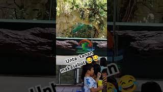 video hayop na combo 🤣 reels [upl. by Niai]