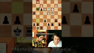 Mikhail Tals Unstoppable Triple Tactic bobbyfisher mikhailtal [upl. by Golda]