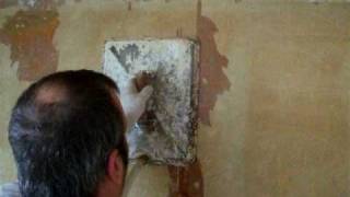 Wallpaper Removal  Miller Brothers  Steamer Demo [upl. by Nev]