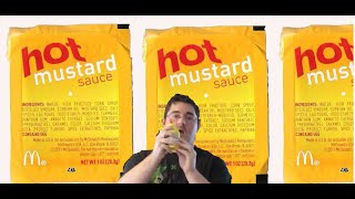 Mc Donalds Hot Mustard Recipe [upl. by Patrizio]