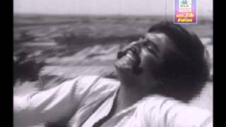 NAAN POLLADHAVAN with Lyrics  Polladhavan  Rajinikanth Sripriya Lakshmi  HD Song  Tamil [upl. by Seadon]