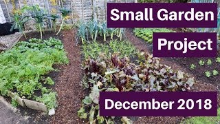 Walk on beds winter harvests  Small Garden 7 December 2018 [upl. by Areema]