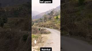 Bel gaav trading travel nainitaluttrakhand indianhillstation viralvideo realestate nainital [upl. by Yniattirb279]