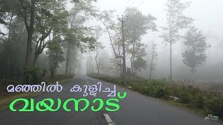 Wayanad Muthanga  Gundlupet forest road trip [upl. by Burney]