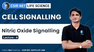 Nitric Oxide Signalling  Cell signalling L  4  CSIR GATE DBT BARC ICMR  IFAS [upl. by Littman594]