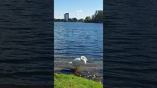 What a peaceful place in Almere near to Amsterdamnetherlands amsterdam europe rotterdam [upl. by Akcirehs]