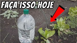 Como Montar um Sistema de Irrigação por Gotejamento com Garrafa PET de 5 Litros [upl. by Sylas]