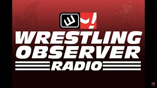 Wrestling Observer Radio  UFC 309 recap 2024 WON HOF class [upl. by Leahcimal]