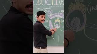 Process of Zygote Formation zygote reproduction embryology biology students mbbs ytshorts [upl. by Aikemaj]