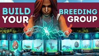 ARK Breeding GUIDE for MUTATION STACKING  ARK Survival Ascended [upl. by Ecinrev39]