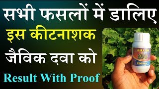 सभी फसलों में डालिए इस कीटनाशक जैविक दवा को देखिए Result With Proof  Killer insecticide kitnashak [upl. by Arjan]