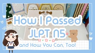 How to Pass JLPT N5 Japanese SelfStudy Tips  Resources 🇯🇵 [upl. by Leshia602]