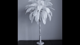 DIY Ostrich feather centerpiece [upl. by Karub]