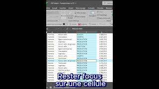 Rester focus sur une cellule dans excel analysededonnées [upl. by Norma563]