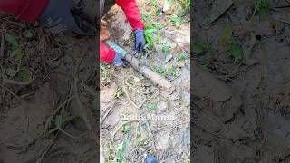 Drain Blockages Essential Tips for Unclogging Pipes blockedpipe shorts video viralvideo short [upl. by Eiramlatsyrk]