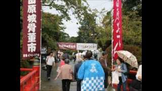 小田原おでん祭り 2013年10月5日 Odawara Oden Matsuri [upl. by Marylee]