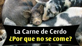 La carne de cerdo ¿por qué no se come [upl. by Geraint]