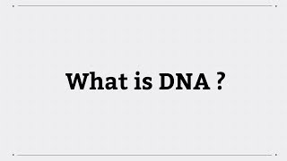 What is DNA [upl. by Butterfield]