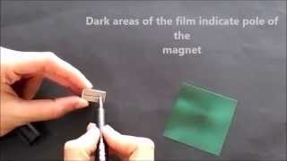 Magnetic field viewing film science project [upl. by Anetsirk229]