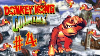 Donkey Kong Country  Episode 4 EVEN MORE VULTURES [upl. by Jeanie]