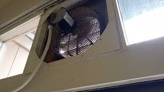 Dayton Exhaust Fan Running Using A Pedestal Fan Head [upl. by Godewyn241]