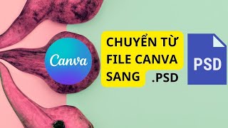 Chuyển File Thiết Kế Canva sang File Photoshop psd ai ppt Một Cách Dễ Dàng [upl. by Hairakcaz858]