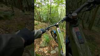 MTB is Life 🔥 calderfornia mtb downhill ridewithme [upl. by Curkell]