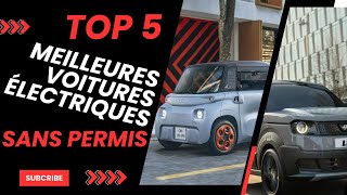 Top 5 des meilleures voitures électriques sans permis à acheter à 2024 [upl. by Haceber]