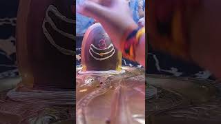 Sadashivbholenath shivshankar omnamhshivay comment harharmahadev viralvideo shortvideo om [upl. by Alrahs32]