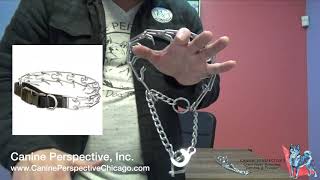 How to Fit a Prong Collar shorts dogtraining dogtrainer [upl. by Hanonew]