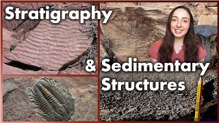 Stratigraphy and Sedimentary Structures  GEO GIRL [upl. by Lundt]