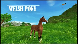 STAR STABLE UPDATED Welsh Pony GAITS amp INFO [upl. by Ethyl]