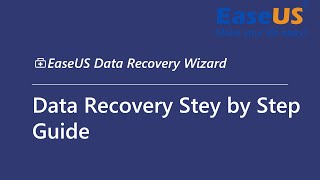 Data Recovery Step by Step Guide [upl. by Aifoz332]