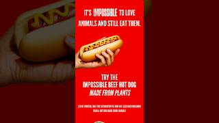 Try the Impossible Beef Hot Dog Made From Plants nycfood impossiblefoods shorts [upl. by Maryrose576]