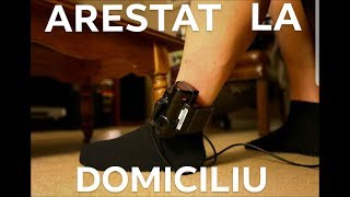 Dani Mocanu  Arestat la domiciliu  Official Audio [upl. by Suilenrac]